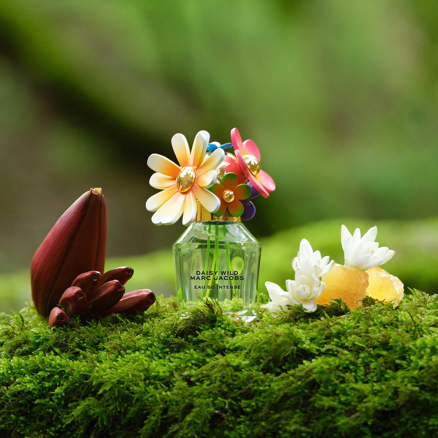 MARC JACOBS DAISY WILD EAU DE PARFUM INTENSE